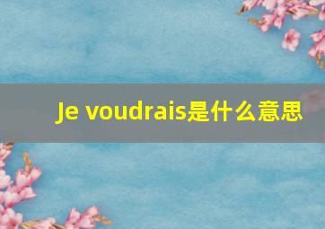 Je voudrais是什么意思